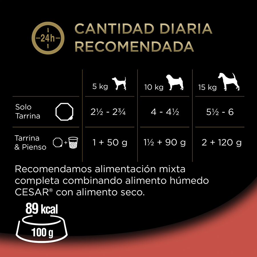 Cesar Clásicos Selección tarrina para perros – Multipack, , large image number null